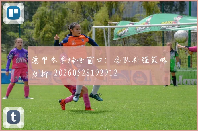 意甲冬季转会窗口：各队补强策略分析_20260528192912