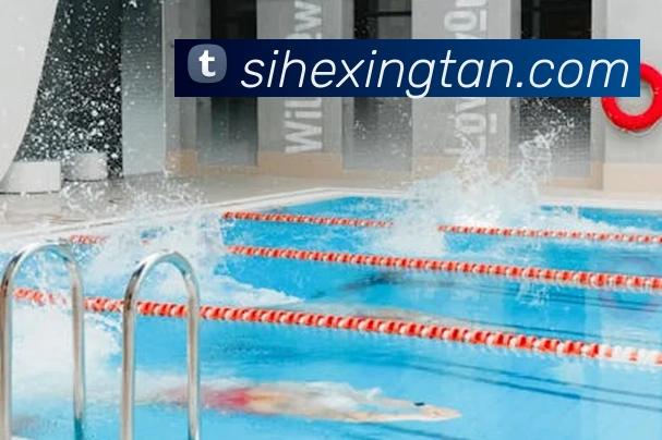 体育直播服务